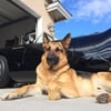 Merlin R.